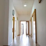 Albergue Melide אכסניה *